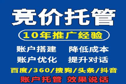 某知名企业SEM营销全案解析